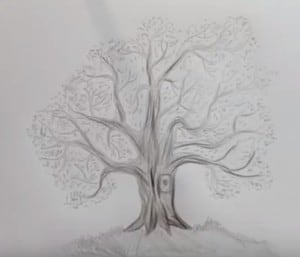 How to draw a tree by pencil