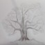 How to Draw a Tree by pencil