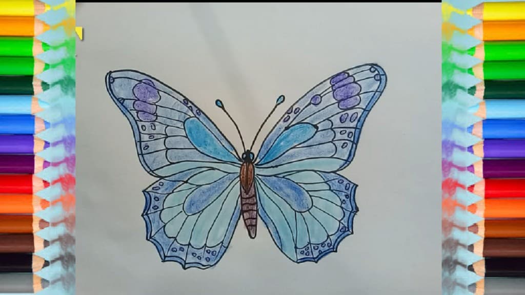 How to Draw a Butterfly