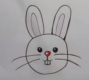 Draw cartoon rabbit