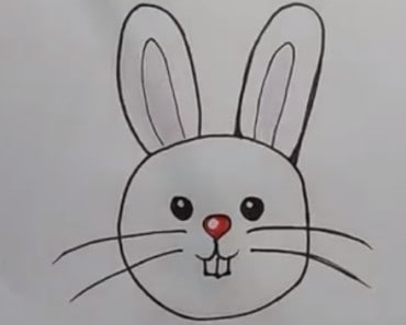How to draw a cartoon rabbit