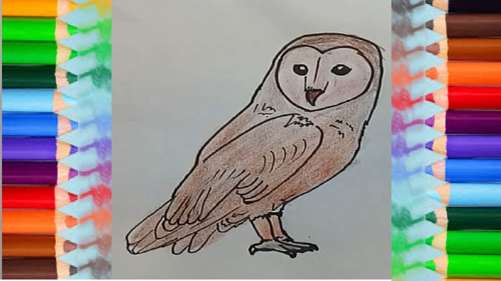 How to Draw an Owl