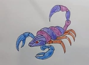 How To Draw A Scorpion