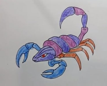 How To Draw A Scorpion and coloring pages for kids