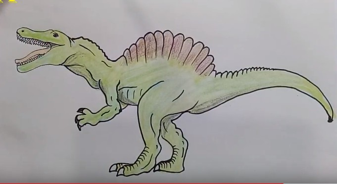 How to draw a dinosaur SPINOSAURUS easy 