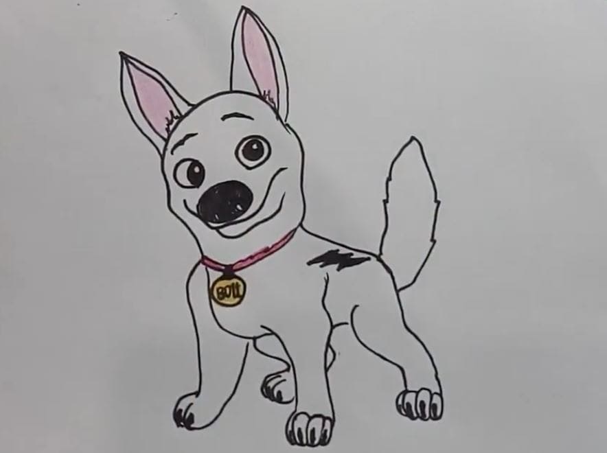 Step-by-step drawing of Bolt from the BOLT movie, featuring a cartoon dog with large eyes, a collar with a medal, and a fluffy tail, suitable for drawing tutorials.