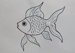 Step-by-step drawing of a fish with detailed fins and scales, suitable for kids learning to draw aquatic animals.