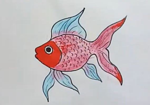 Step-by-step drawing of a colorful fish with detailed fins and scales, suitable for kids learning to draw aquatic animals.