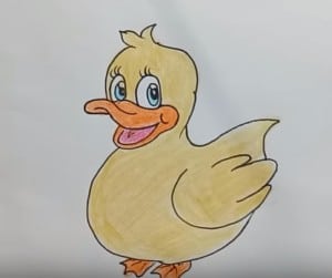 How to Draw cute cartoon Duck step by step