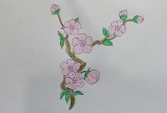 Step-by-step drawing of a cherry blossom branch with pink flowers and green leaves, suitable for kids learning to draw.