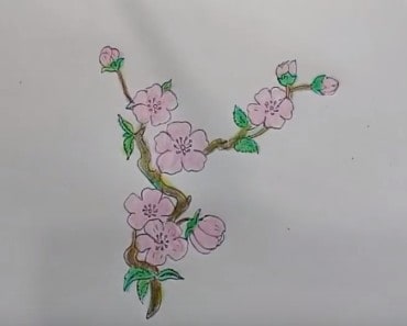 Flowers drawing – How to draw Cherry Blossom for kids