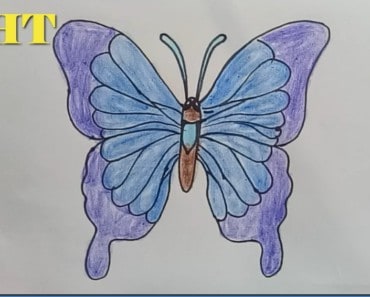 how to draw a cartoon butterfly easy