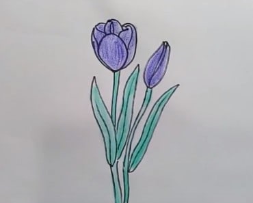 How to draw a tulip step by step easy