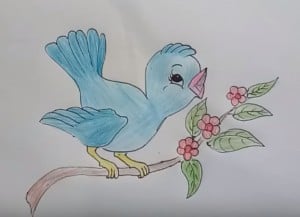 How to draw cute cartoon bird step by step for kids
