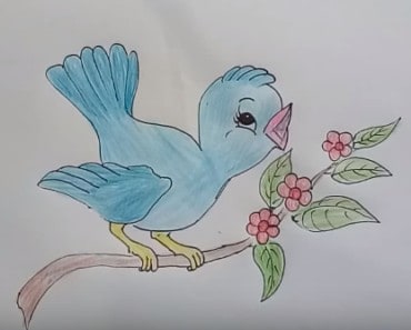 How to draw cute cartoon bird