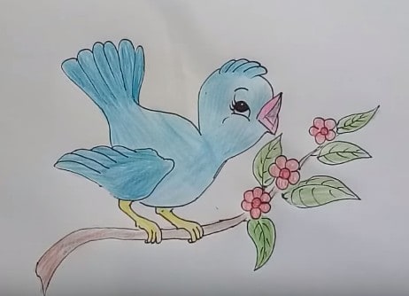 How to draw cute cartoon bird 