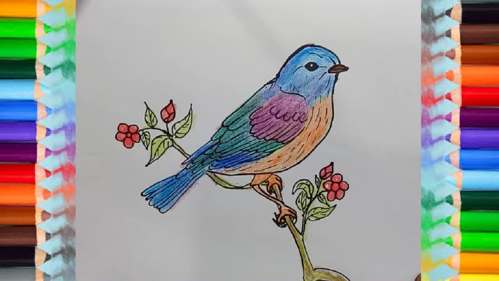 How to draw a Bluebird spring Easy animals to draw