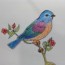 How to draw a Bluebird spring | Easy animals to draw
