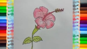 How To Draw A Hibiscus Flower and learn colors for kids