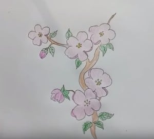 How to Draw Cherry Blossoms step by step, easy!