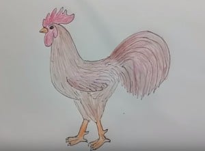 How to Draw a Rooster