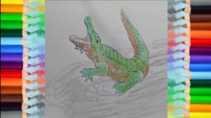 JUMPING CROCODILE ILLUSION - How to Draw 3D Crocodile and coloring pages