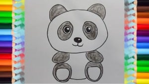 How to draw cute cartoon PANDA