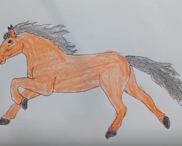 How to draw a Horse step by step | Draw animals and coloring
