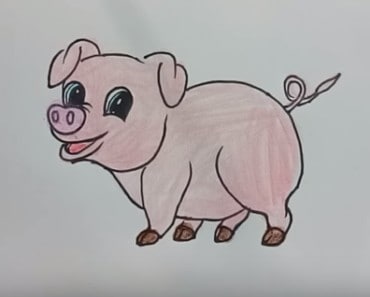How to Draw a Cartoon Pig cute and easy step by step | Easy animals to draw for kids