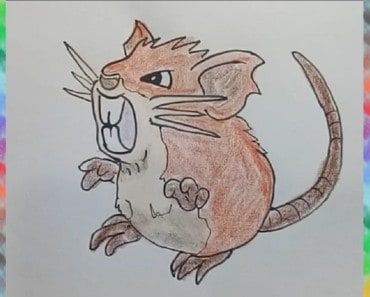 How to draw Raticate from Pokemon – Pokemon drawings