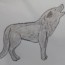 How To Draw a Wolf easy step by step – Easy animals to draw