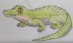 How to draw a crocodile cute sep by step - Draw cute animals easy!