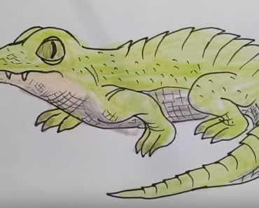 How to draw a cute crocodile Cartoon | Draw cute animals