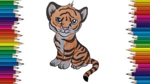 How To Draw A Cute Tiger Easy Step By Step Cute Animal