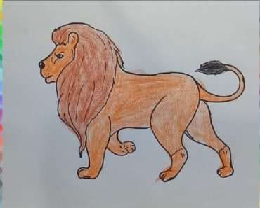 How to draw a lion easy step by step – Easy animals to draw