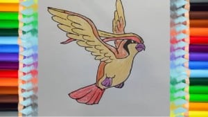 How to draw pidgeot from Pokemon
