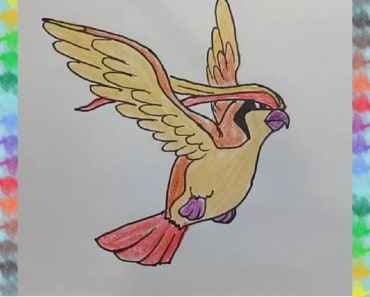 How to draw pidgeot from Pokemon – Pokemon drawings