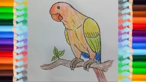 drawing-of-a-parrot-drawing-for-kids-parrot-printable-editable