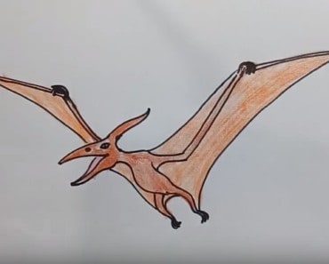 how to draw a pterodactyl from jurassic world