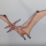 how to draw a pterodactyl from jurassic world