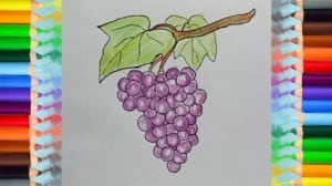 How To Draw Grapes For Kids