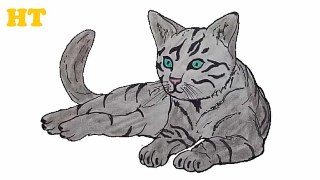 How to Draw a Cat [Narrated Step-by-Step Tutorial]