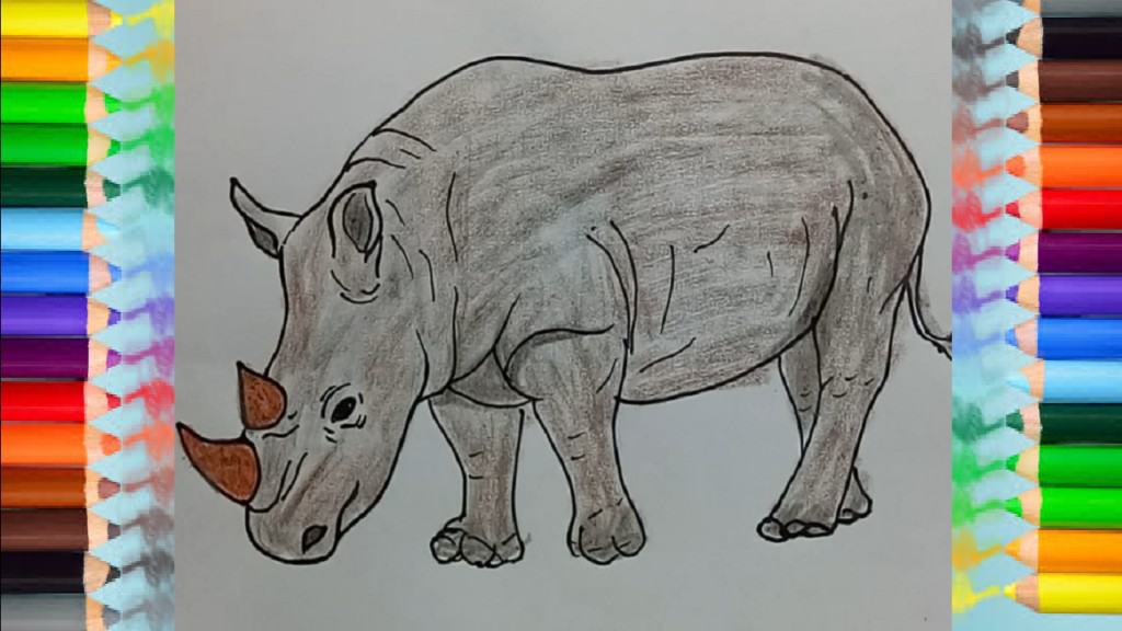 How to Draw a Rhino step by step easy