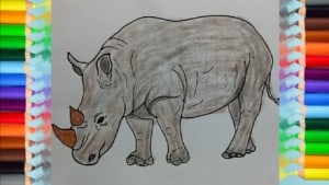 How to Draw a Rhino