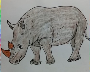 How to Draw a Rhino step by step easy