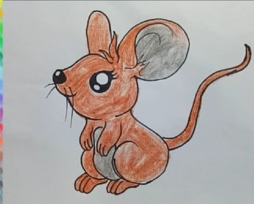 How to draw a cartoon mouse cute and easy – Easy animals to draw