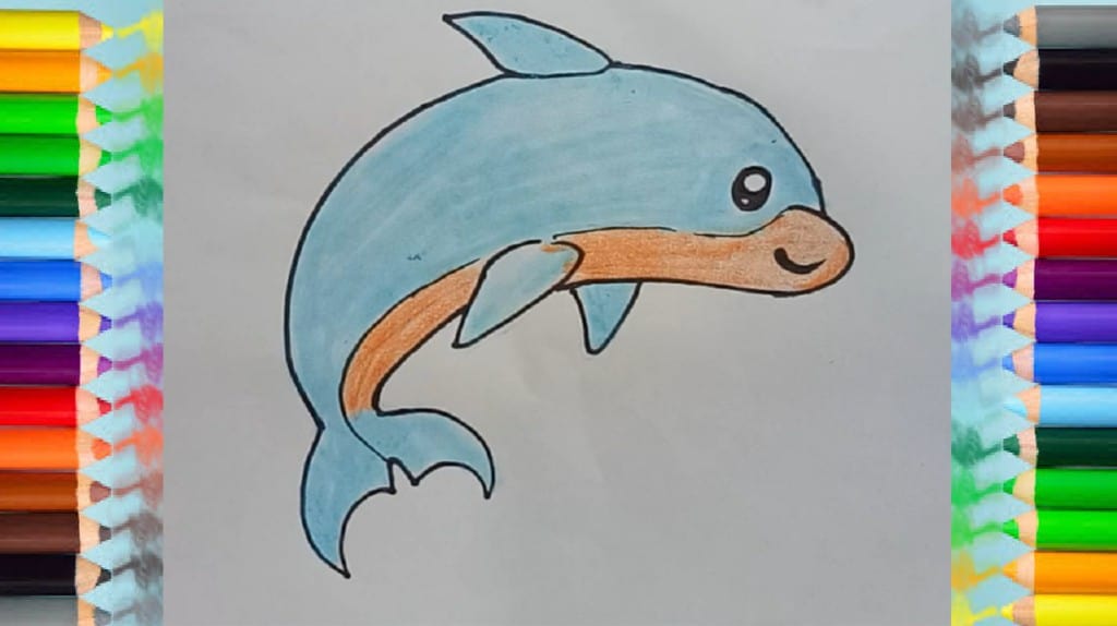 How to draw a cute cartoon Dolphin