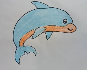 How to draw a cute dolphin easy step by step – Easy animals to draw