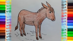 How to draw donkey