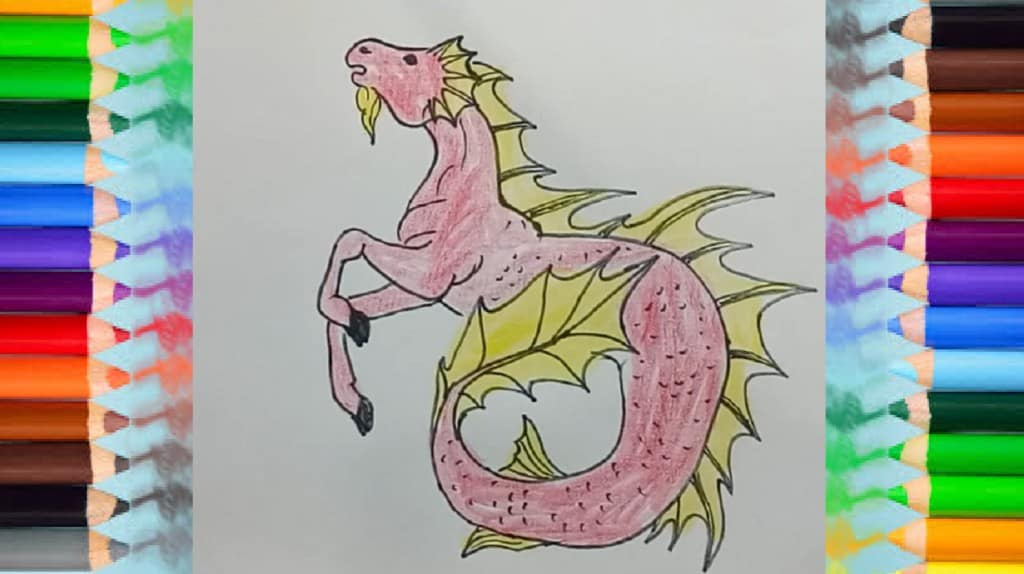 How to draw hippocampus